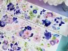 Bailan Studio Washi Tape Sample - Morning Glory
