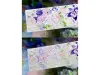 Bailan Studio Washi Tape Sample - Morning Glory