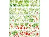 Bailan Studio Washi Tape Sample - Strawberry