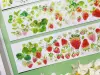 Bailan Studio Washi Tape Sample - Strawberry