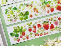 Bailan Studio Washi Tape Sample - Strawberry