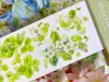 Bailan Studio Washi Tape Sample - Strawberry