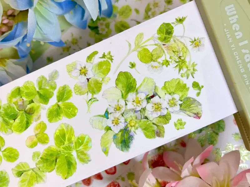 Bailan Studio Washi Tape Sample - Strawberry