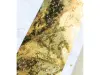 Pre-Order LCN Star Kiss-Cut PET Tape - Glossy Gold