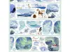 Meowpaji Washi Tape Sample - The Snow Falls Silently