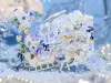 Shine Studio PET Tape Sample - Winter Fantasy Collection