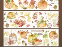 Turtle Studio PET Tape Sample - Pumpkin