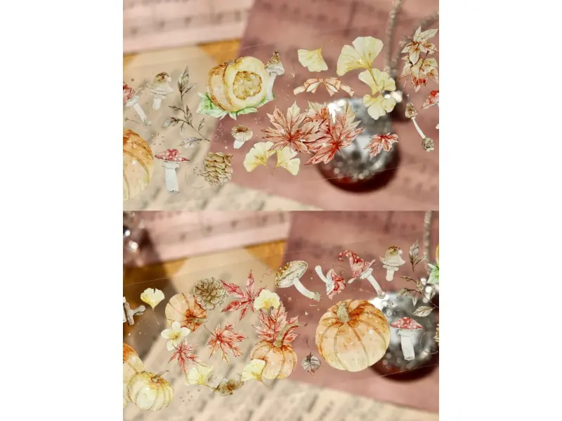 Turtle Studio PET Tape Sample - Pumpkin