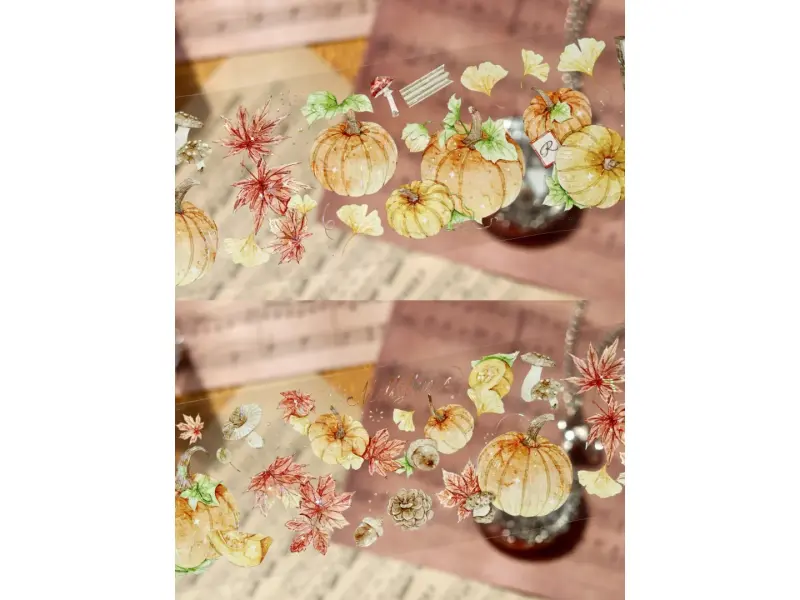 Turtle Studio PET Tape Sample - Pumpkin