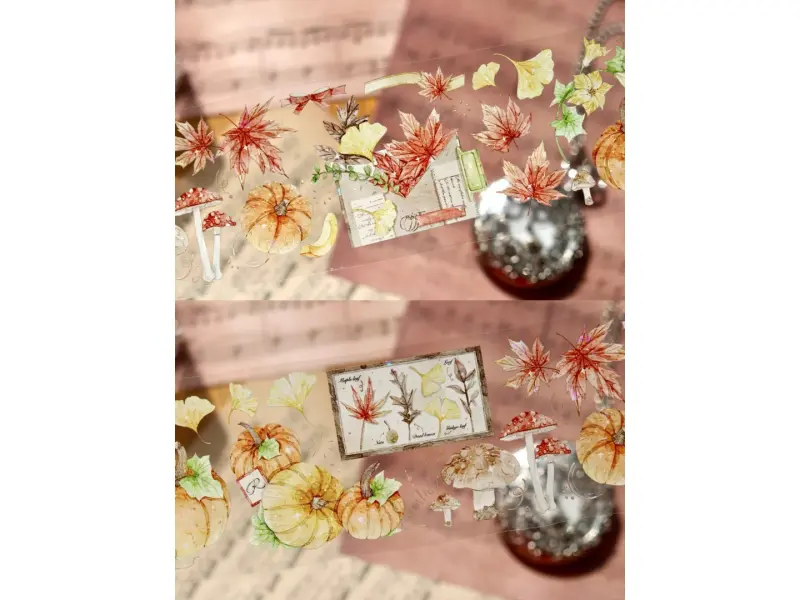 Turtle Studio PET Tape Sample - Pumpkin