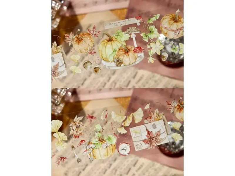 Turtle Studio PET Tape Sample - Pumpkin