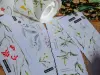 Meow Illustration Washi Tape Sample - Scent Research