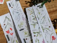 Meow Illustration Washi Tape Sample - Scent Research