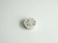 Pre-Order Yohaku Washi Tape Y-190 - Ezo Squirrel