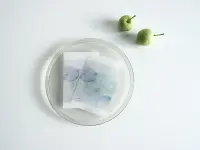 Yohaku Tracing Paper Divider - Planetarium