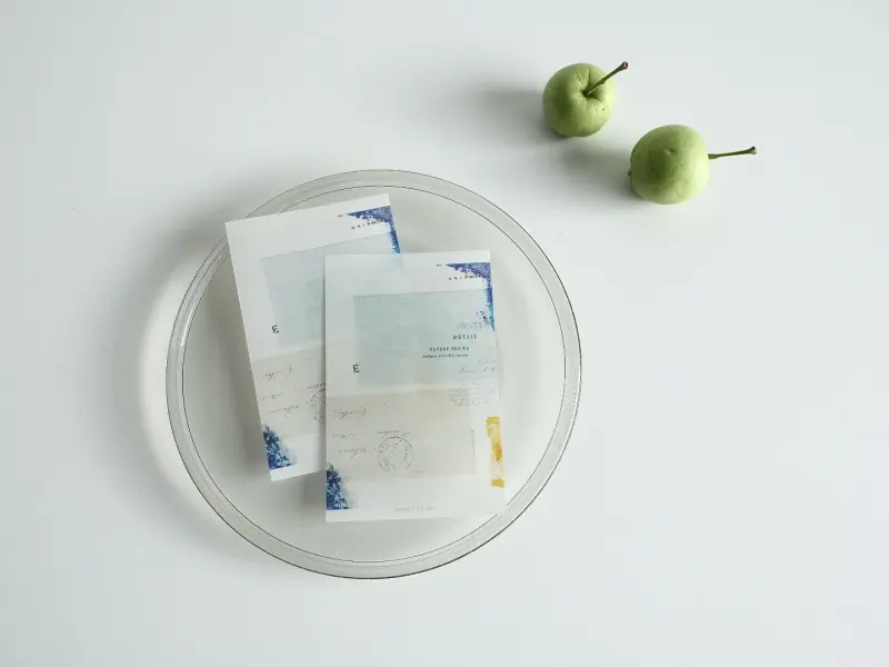 Yohaku Tracing Paper Divider - Orion