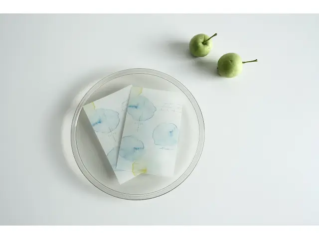 Yohaku Tracing Paper Divider - Aquarium
