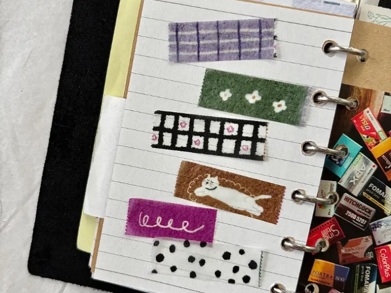 Pion Washi Tape - Cat On The Rug A