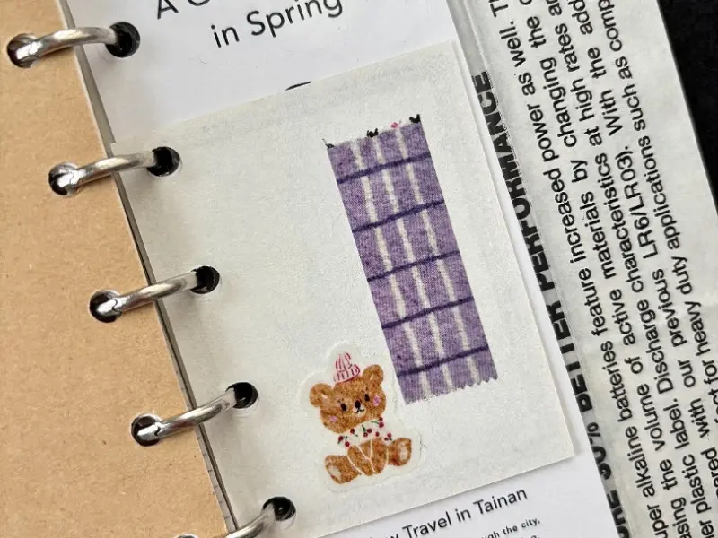 Pion Washi Tape - Cat On The Rug A