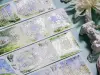 Shine Studio Washi Tape Sample - Spring Picking Notes