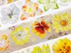 Baicangjia Studio Die-Cut Tape - Honey Orange