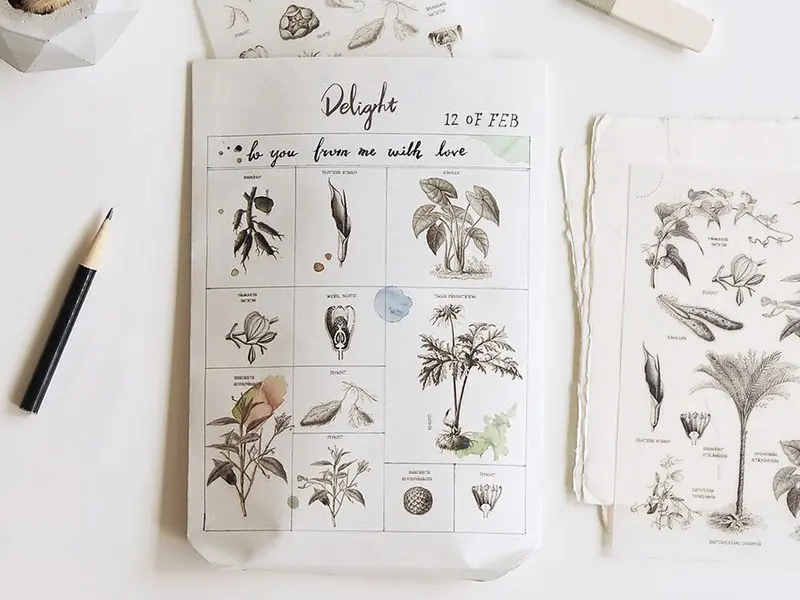 MU | Print-On Siirtotarrat - Kasvitieteelliset Luonnokset