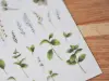 MU Print On Stickers Botanical Series Mint And Jasmine