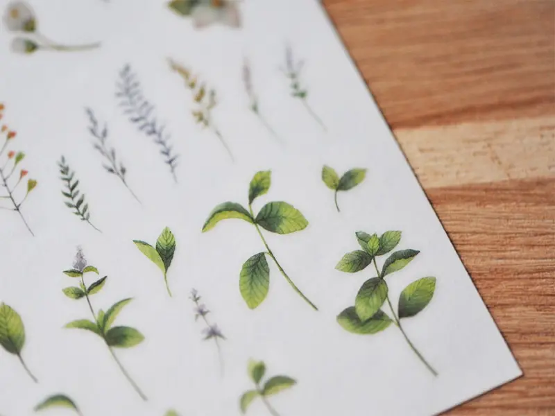 MU | Print-On Stickers - Mint And Jasmine