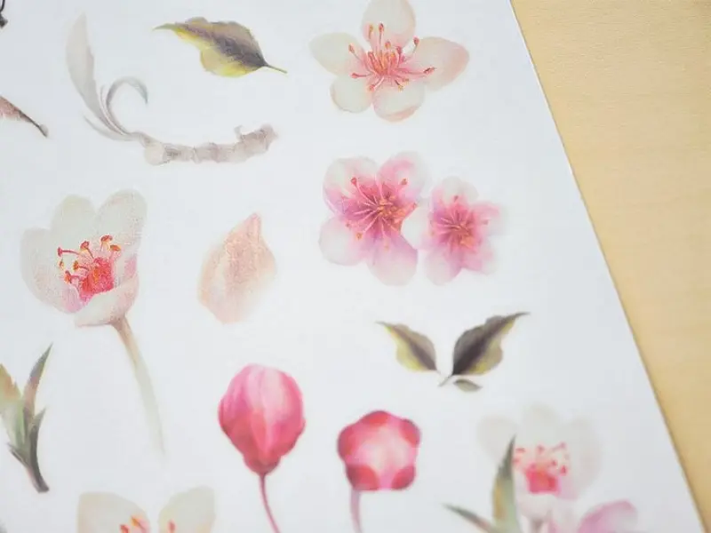 MU  Print-On Siirtokuvat 075 - Cherry Blossoms