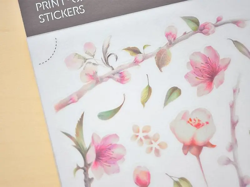 MU  Print-On Siirtokuvat 075 - Cherry Blossoms