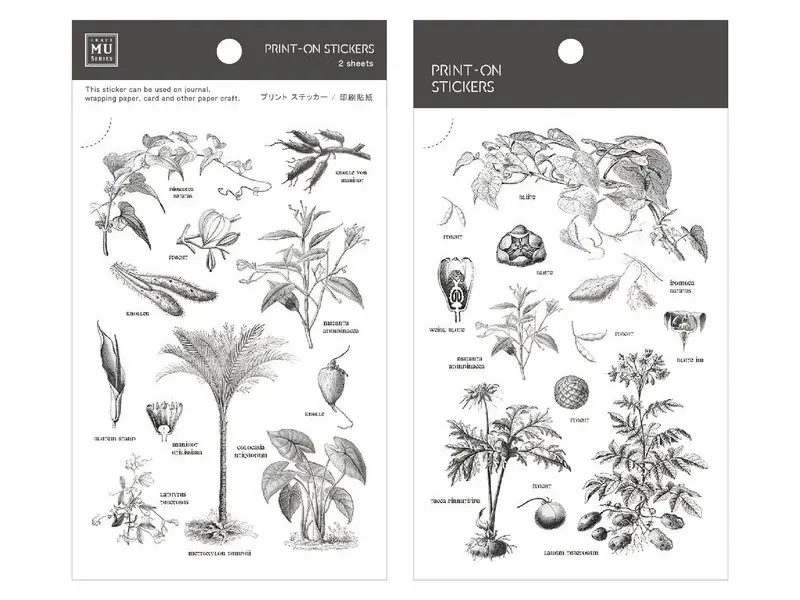 MU | Print-On Siirtotarrat - Kasvitieteelliset Luonnokset