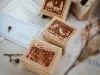 Meow Illustration Stamp Set - Little Houses Southern Highlands