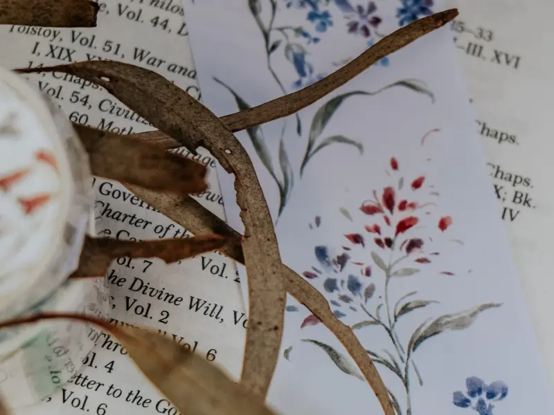 Meow Illustration Washi Tape - Bush Walking