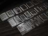 Miaostelle PET Tape - Classic Stamp Silver