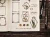 Miao Stelle Washi Tape - Label Frame 2