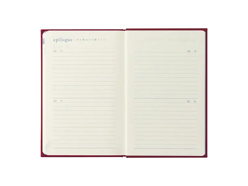 MD 10 Year Diary - Red