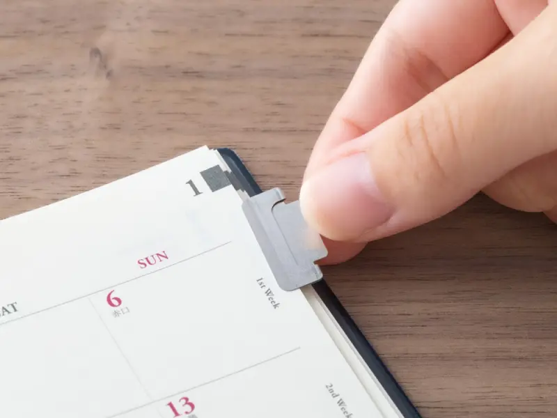 Midori Index Clip Chiratto - Silver