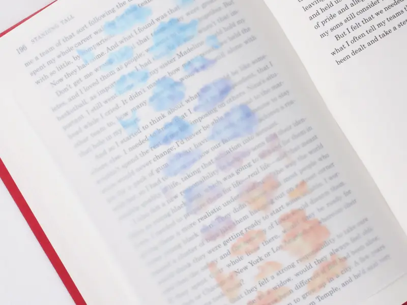 Appree Nature Stickers - Cloud