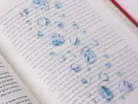 Appree Nature Stickers - Ice