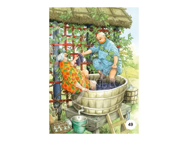 Inge Löök Postcard Old Ladies - 49