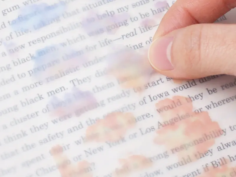 Appree Nature Stickers - Cloud