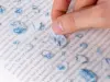 Appree Nature Stickers - Ice