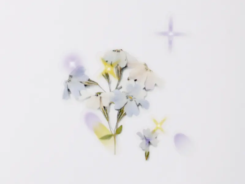 Appree Nature Stickers - Light