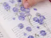Appree Pressed Flower Stickers - Flax