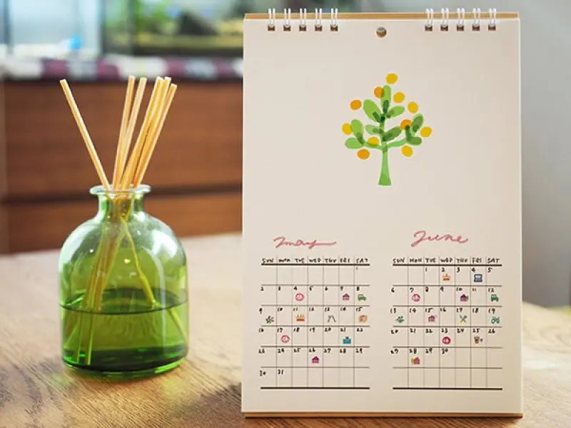 Deco Rush Decorative Tape - Cat