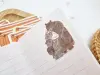 Furukawa Mini Letter Paper Set Picture Book - Bear Flower Shop