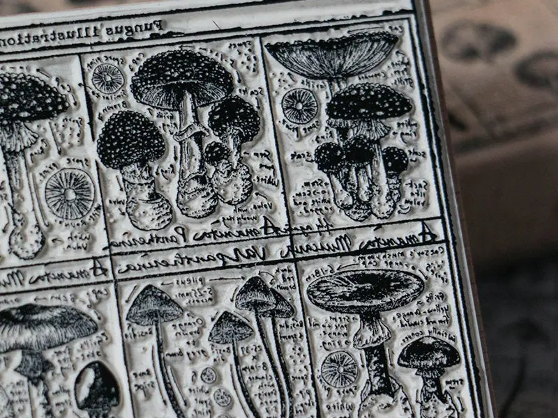 Lin Chia Ning Stamp Mushroom - Fungus Notecard I