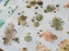 LCN Print-On Stickers - Color Lumps Vol.1