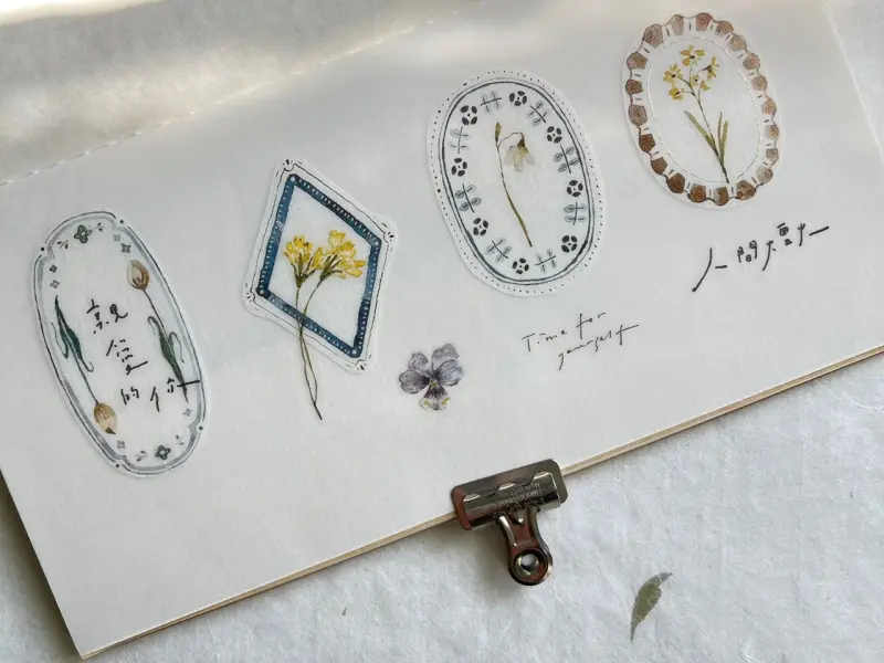 Pion Washi Tape Frames - Plate