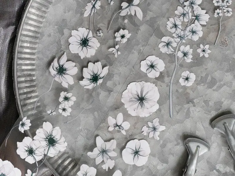 Loidesign Clear PET Tape - Fiery